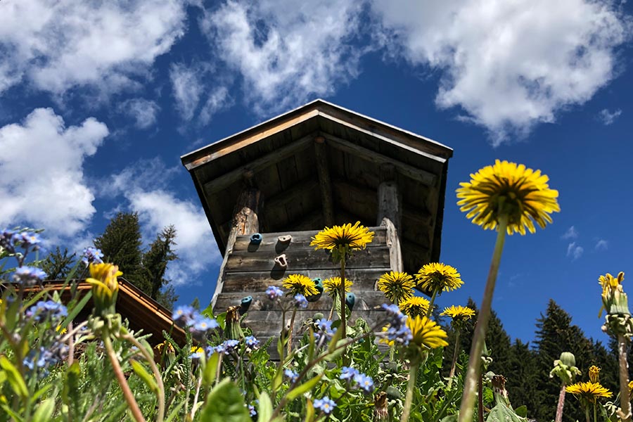 Agriturismo in Eggen Deutschnofen a Unterwerkstatthof