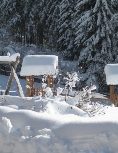 Impressionen vom Unterwerkstatthof in Südtirol