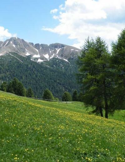 Impressionen vom Unterwerkstatthof in Südtirol