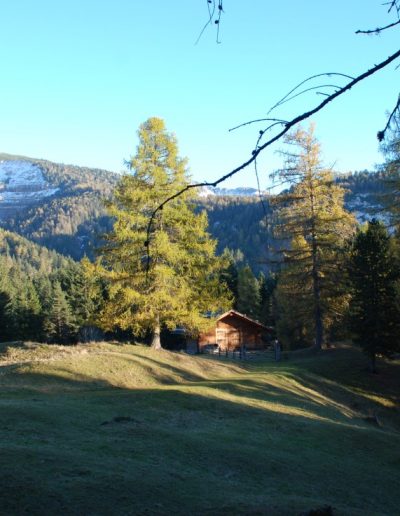 Impressionen vom Unterwerkstatthof in Südtirol