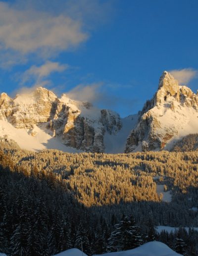 Impressionen vom Unterwerkstatthof in Südtirol