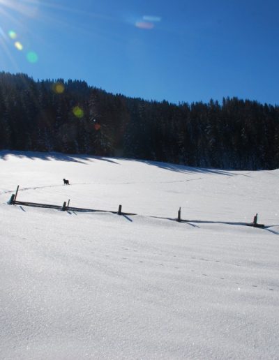 Impressionen vom Unterwerkstatthof in Südtirol