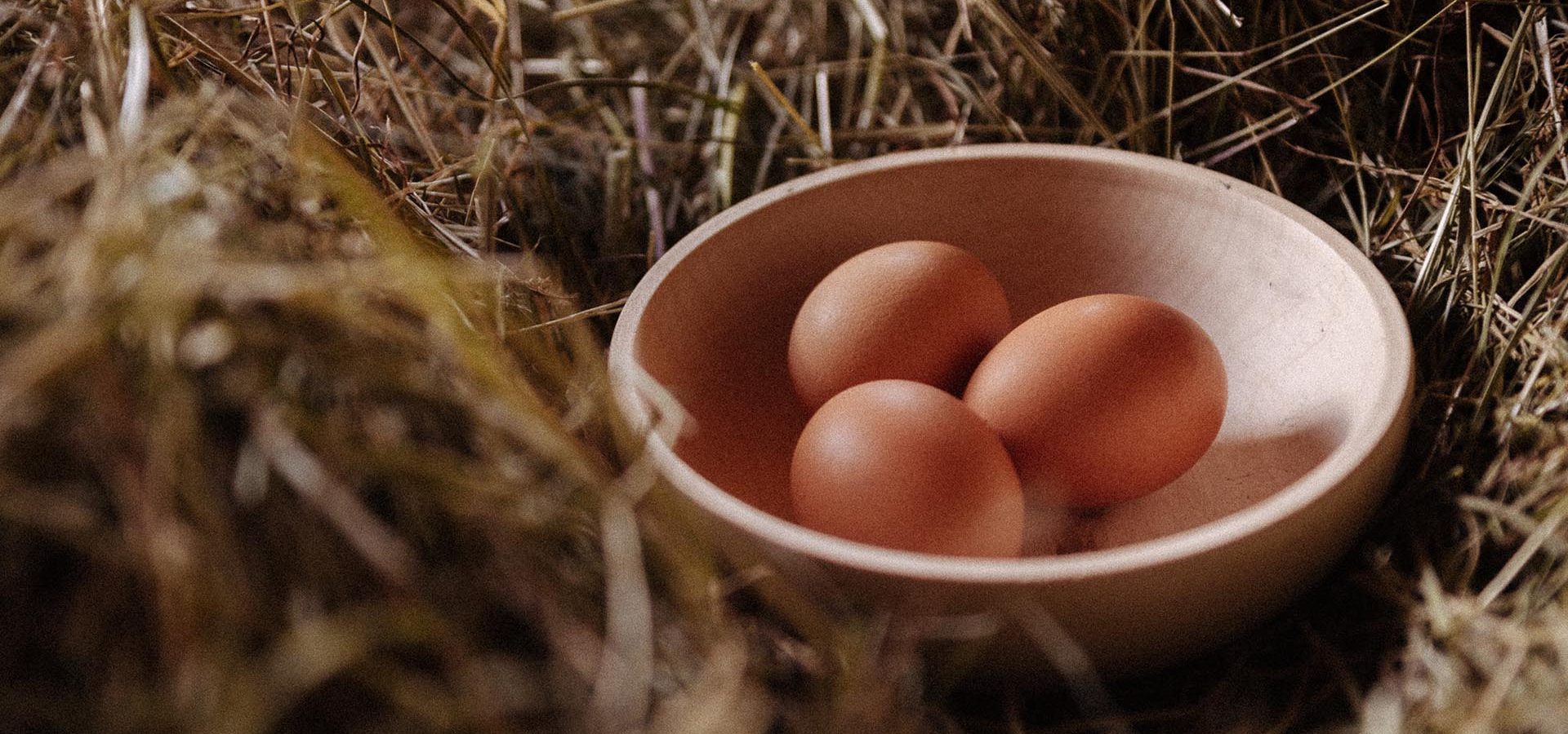 FRÜHSTÜCK AUF DEM UNTERWERKSTATTHOF